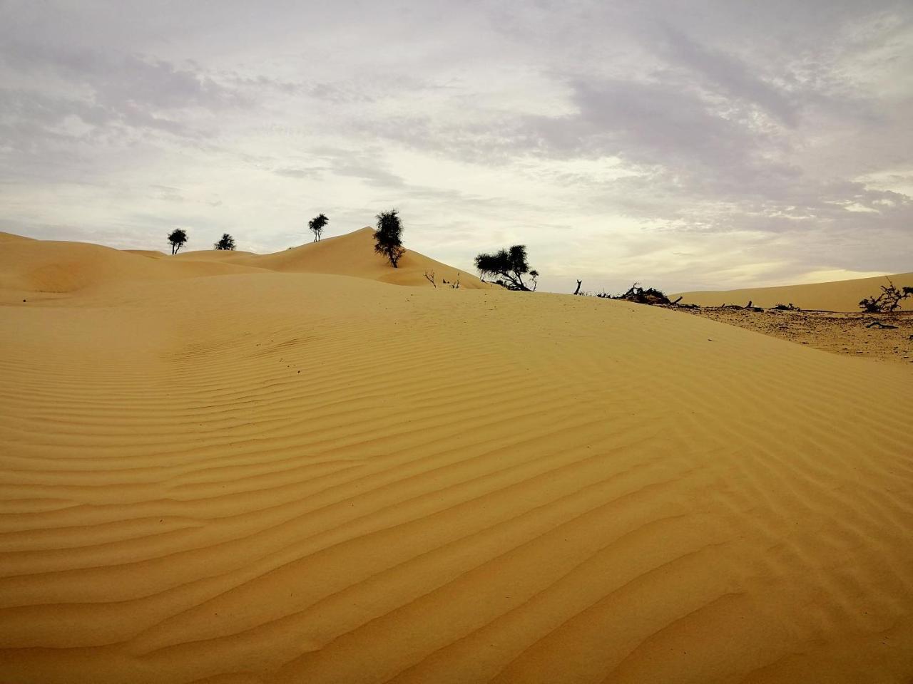 Queen Desert Camp Fulayj al Masha'ikh Luaran gambar
